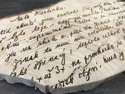 dřevěné cedule (230)