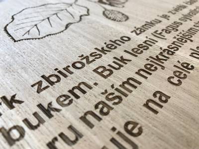 dřevěné cedule (238)